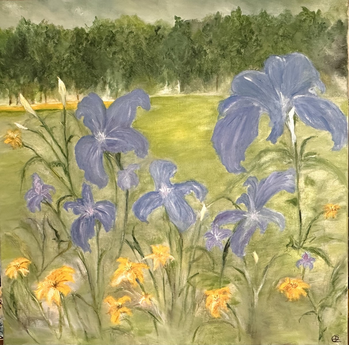 Fleurs iris, de Didier Colomès The Art Cycle