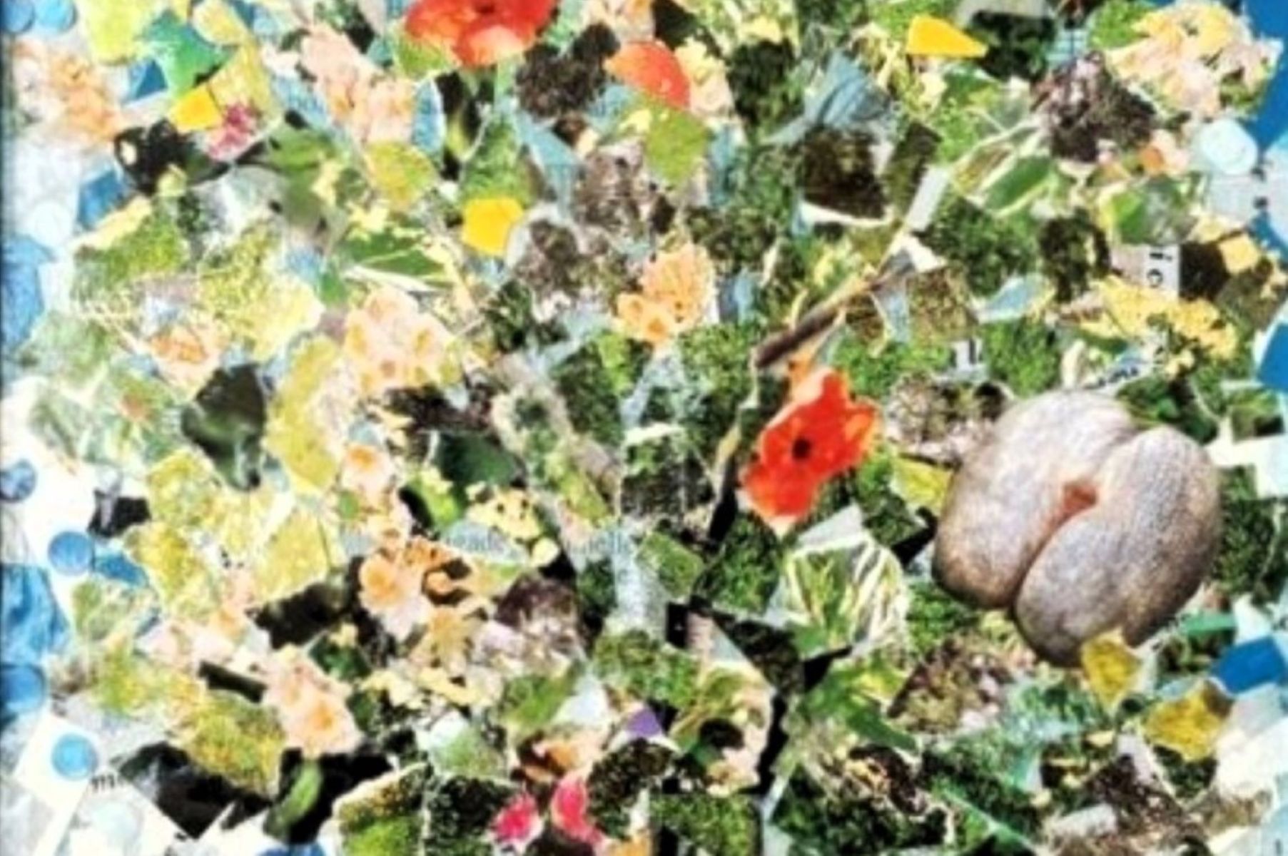 annerobin lecocofessesetloiseau theartcycle photo_secondaire 1826969775.jpeg The Art Cycle