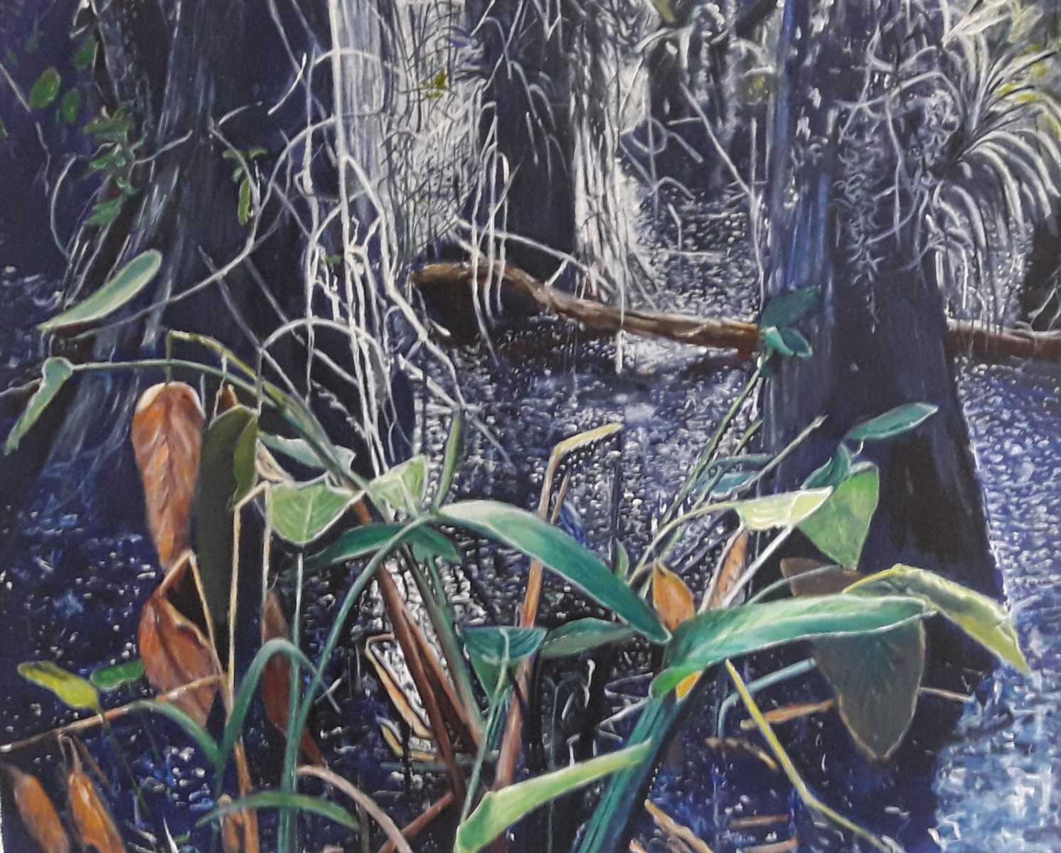 Bayou, de Annie Darmon Tetart The Art Cycle