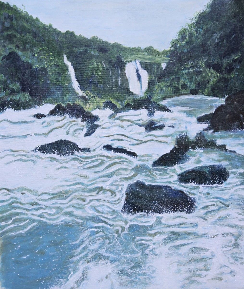 Iguazu bouillonnement sur rochers, de Annie Darmon Tetart The Art Cycle