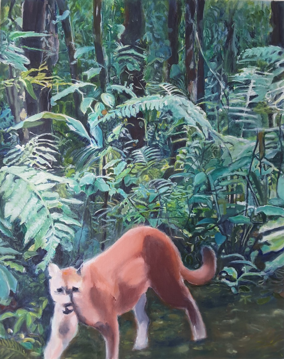 Puma dans jungle du Costa Rica, de Annie Darmon Tetart The Art Cycle