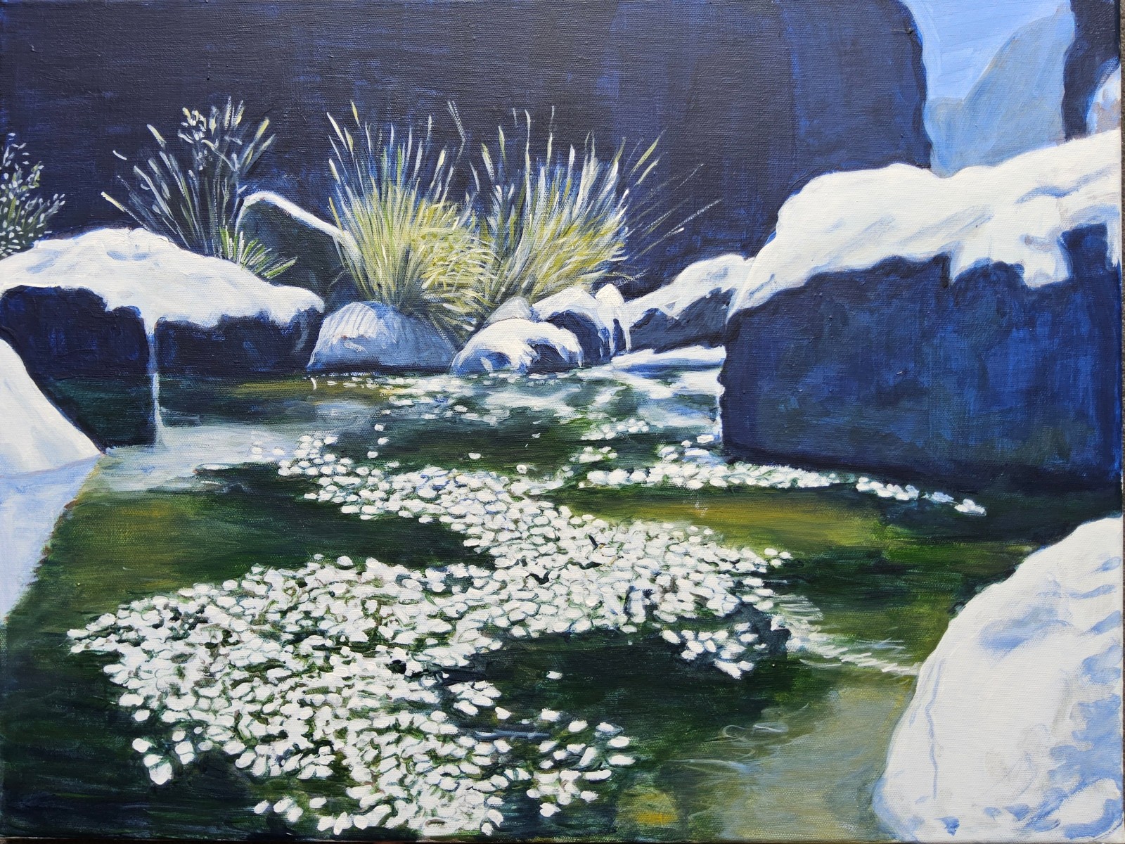 Wadi Oman 5, de Annie Darmon Tetart The Art Cycle