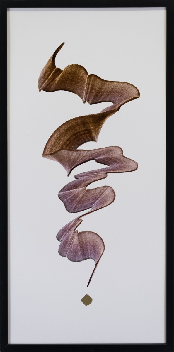 Chimère N°28 , de AragoRn Boulanger The Art Cycle