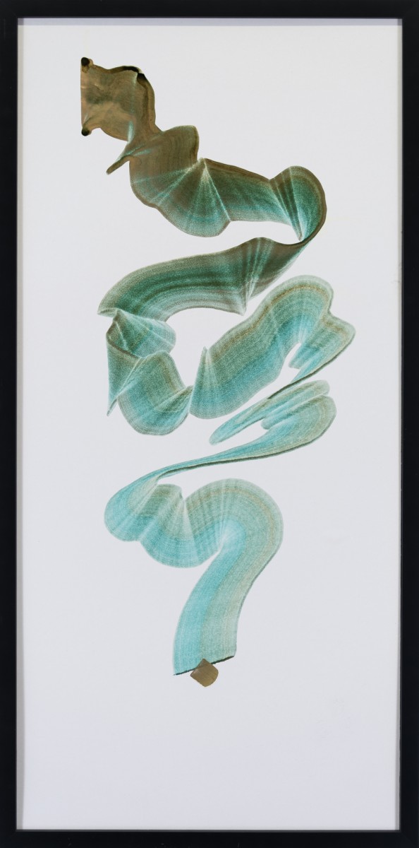 Chimère N°35 , de AragoRn Boulanger The Art Cycle