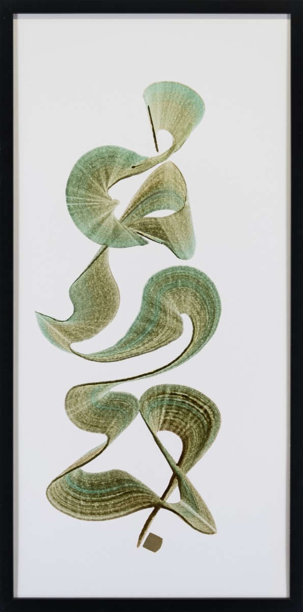  Chimère N°36 , de AragoRn Boulanger The Art Cycle