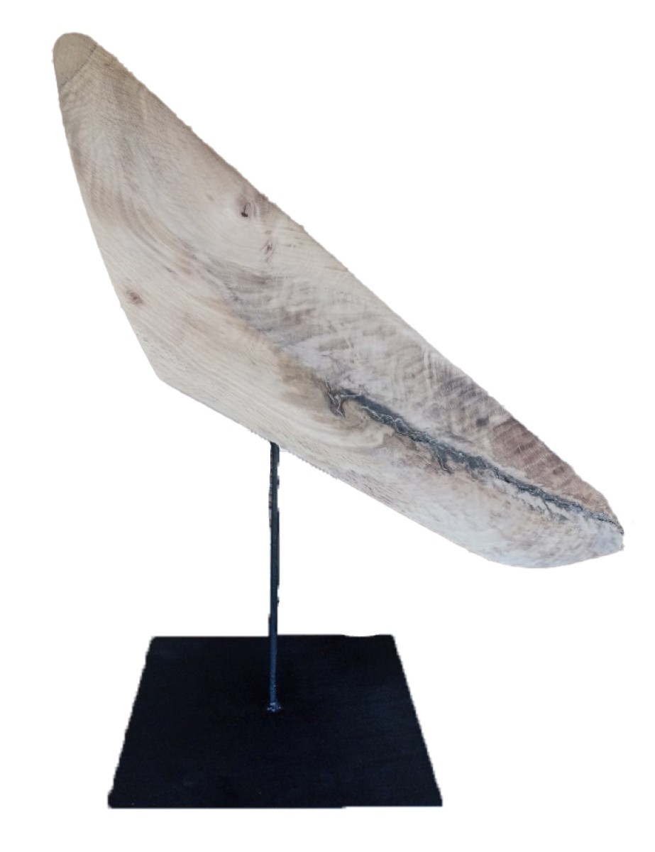 Naus, de Arthur Frenoy The Art Cycle