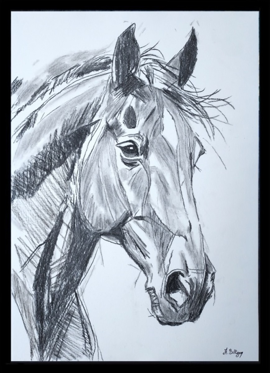 La force tranquille, de Axelle Biltgen The Art Cycle