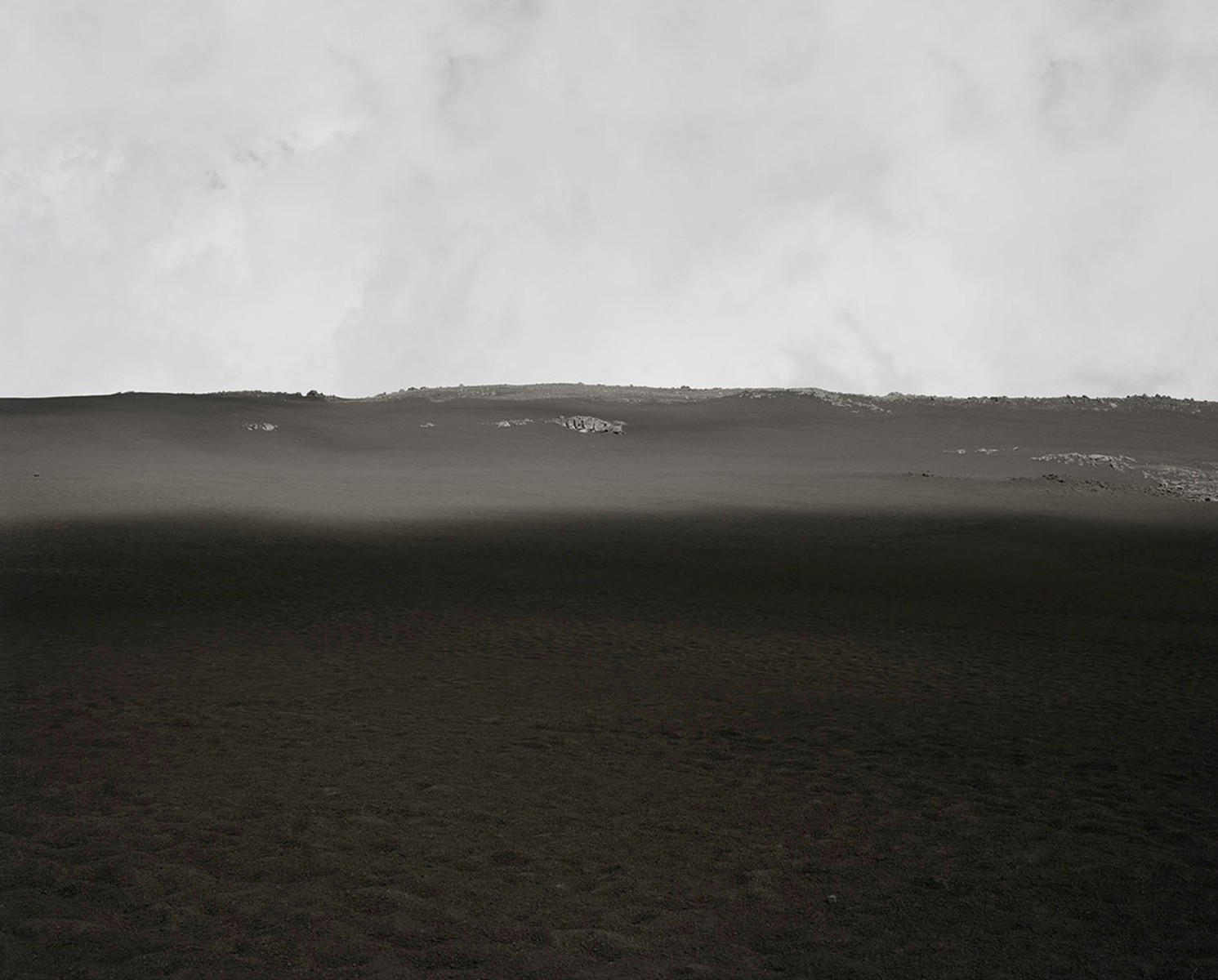 Mongillebo 10, de Boris Gayrard The Art Cycle