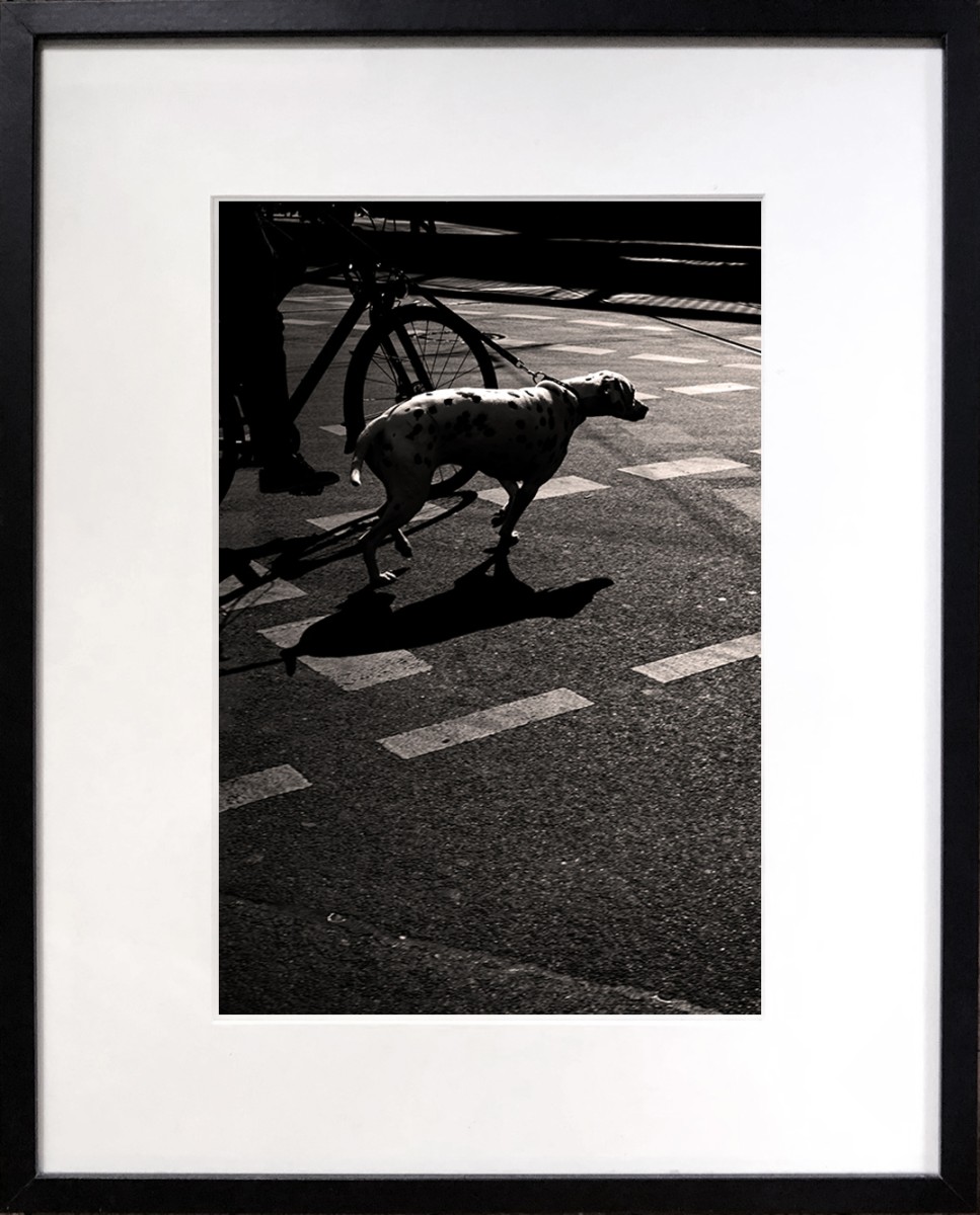 HO2, de Carlos Arriagada The Art Cycle