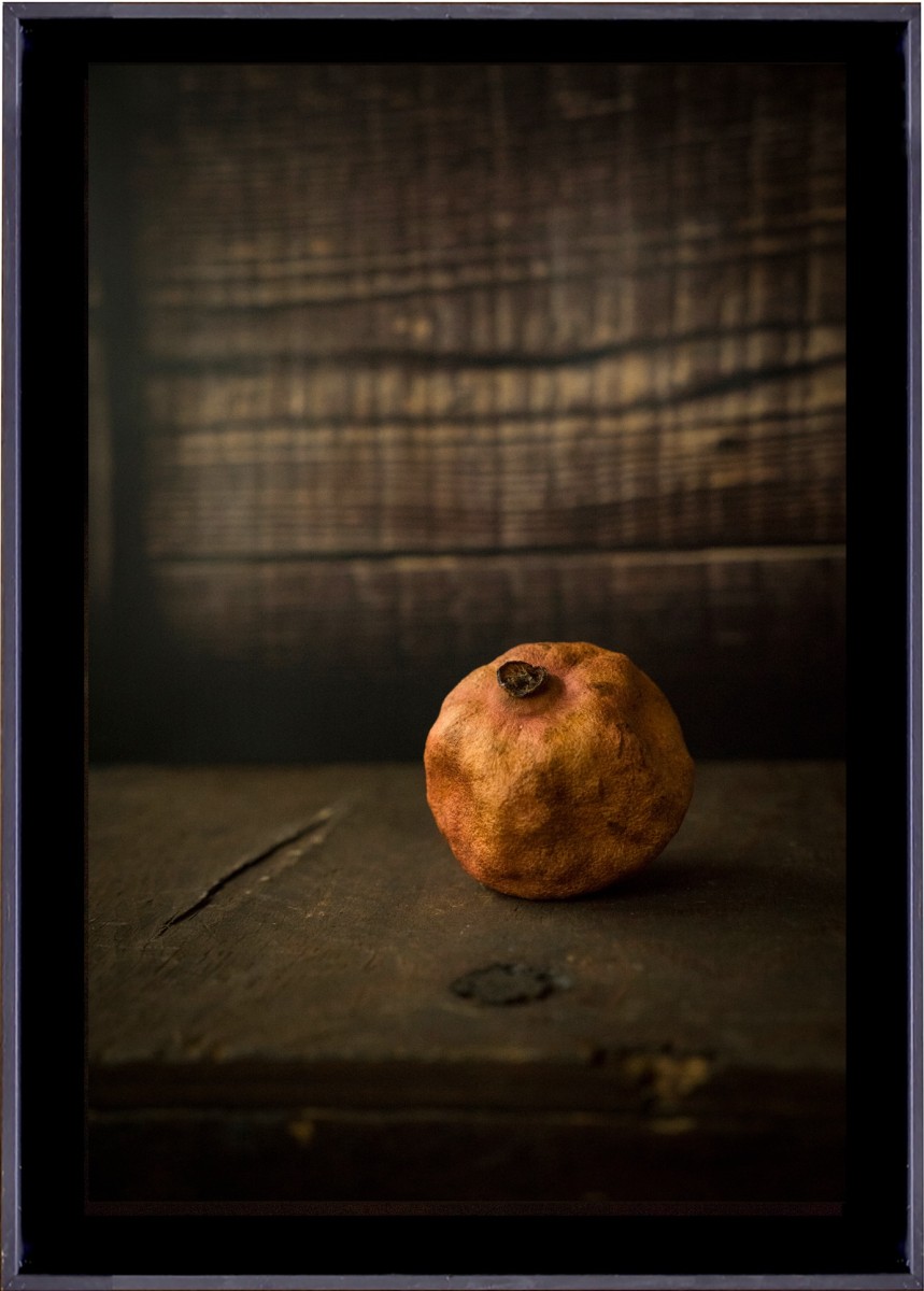 Nature morte IV, de CarmArt The Art Cycle