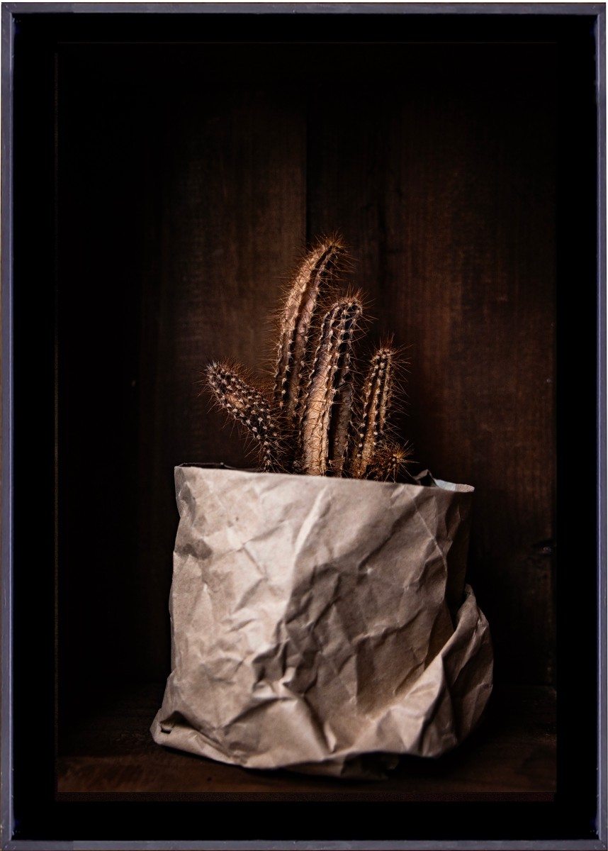 Nature morte IX, de CarmArt The Art Cycle