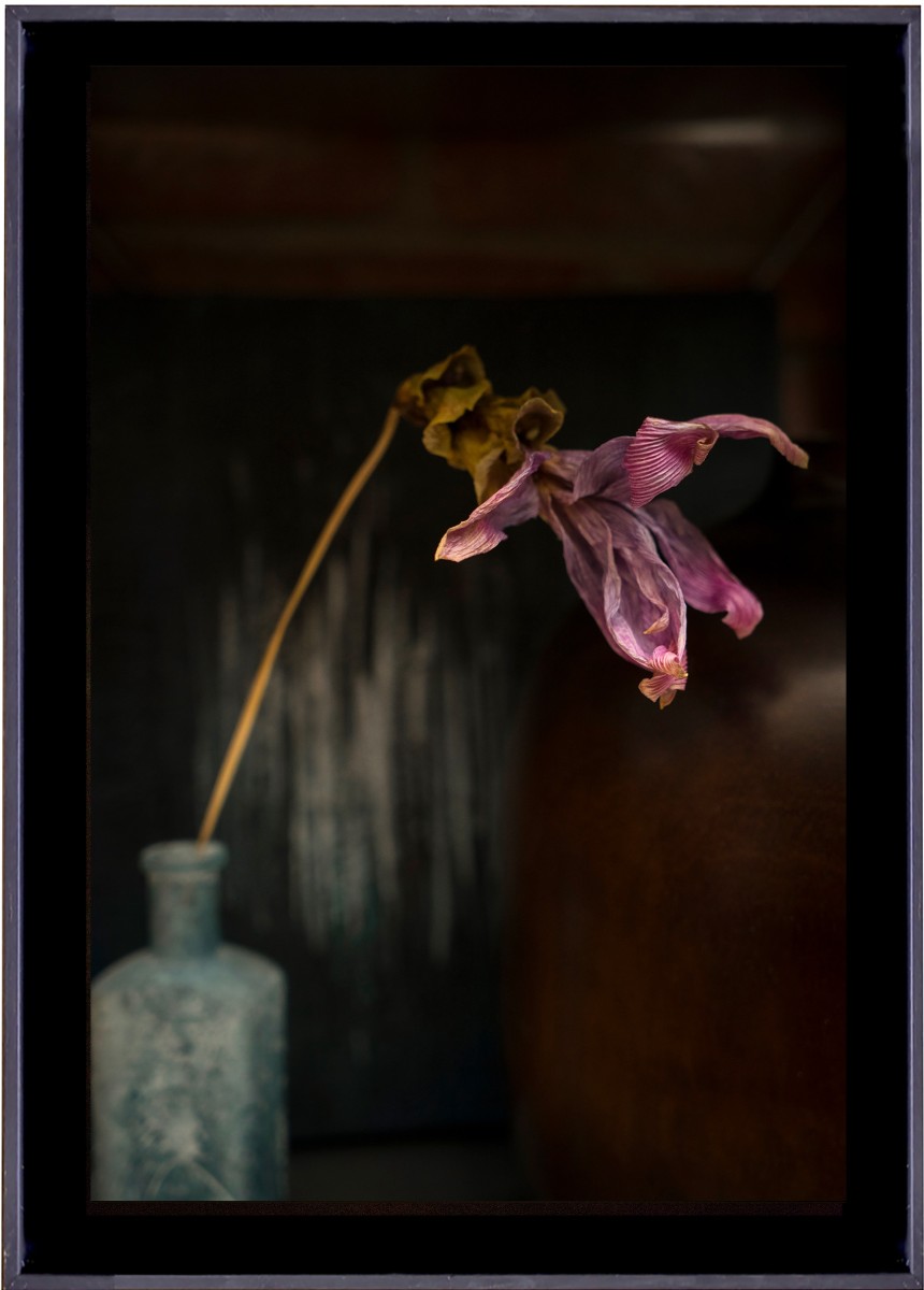 Nature morte VI, de CarmArt The Art Cycle