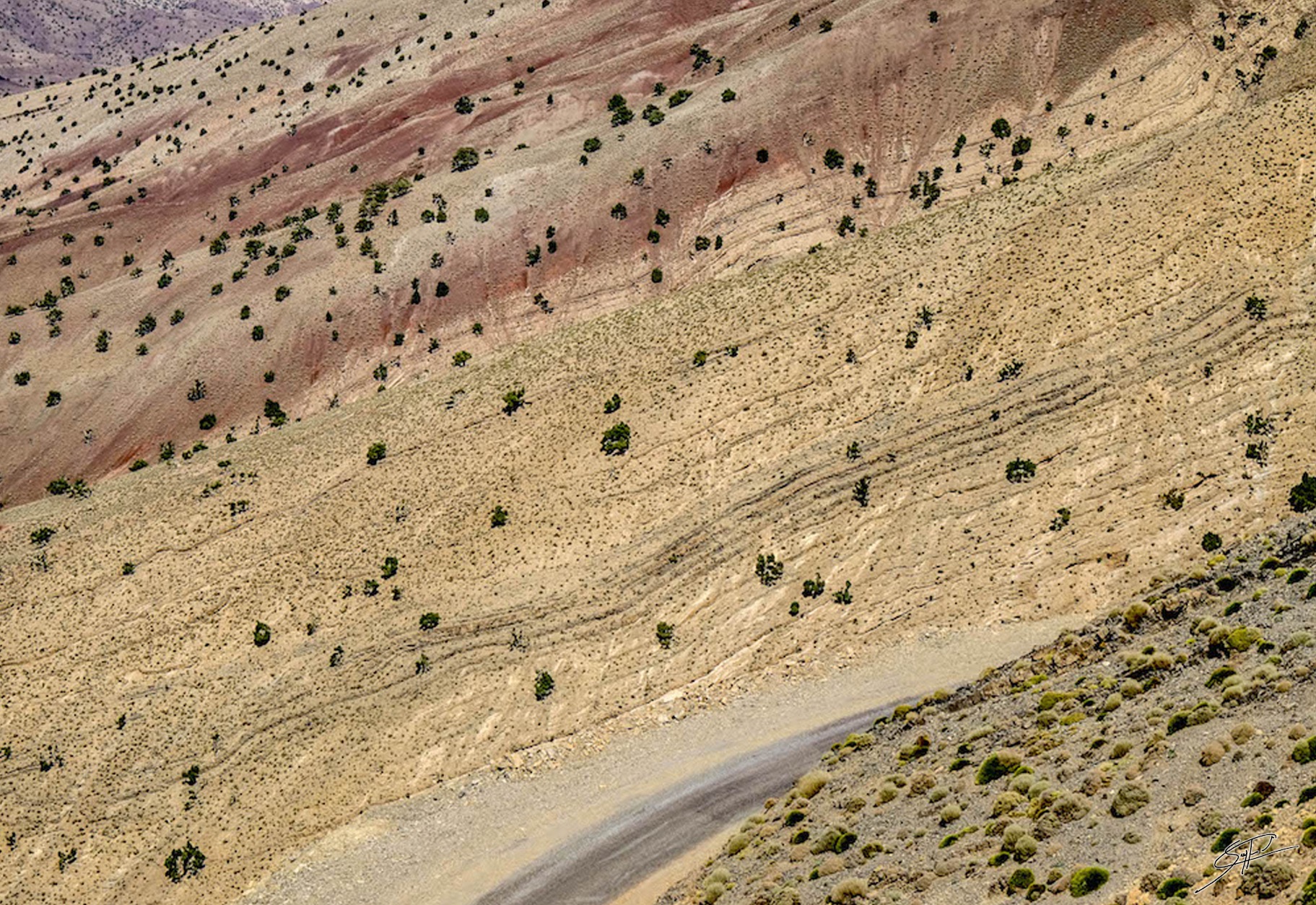 claudineseyfried nuanceauborddelaroute photographie paysage theartcycle photo_detail_1.jpg The Art Cycle