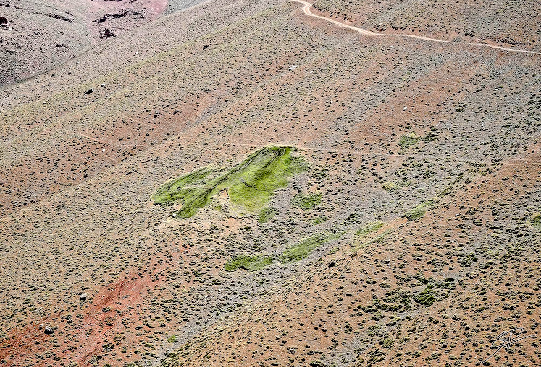 claudineseyfried surlapente photographie paysage theartcycle photo_detail_1.jpg The Art Cycle