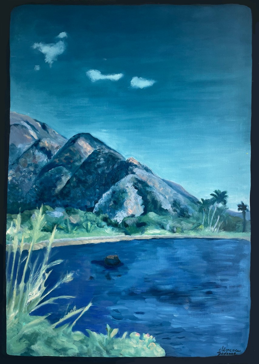 Tahiti dans les années soixante, de Clémence Devienne The Art Cycle