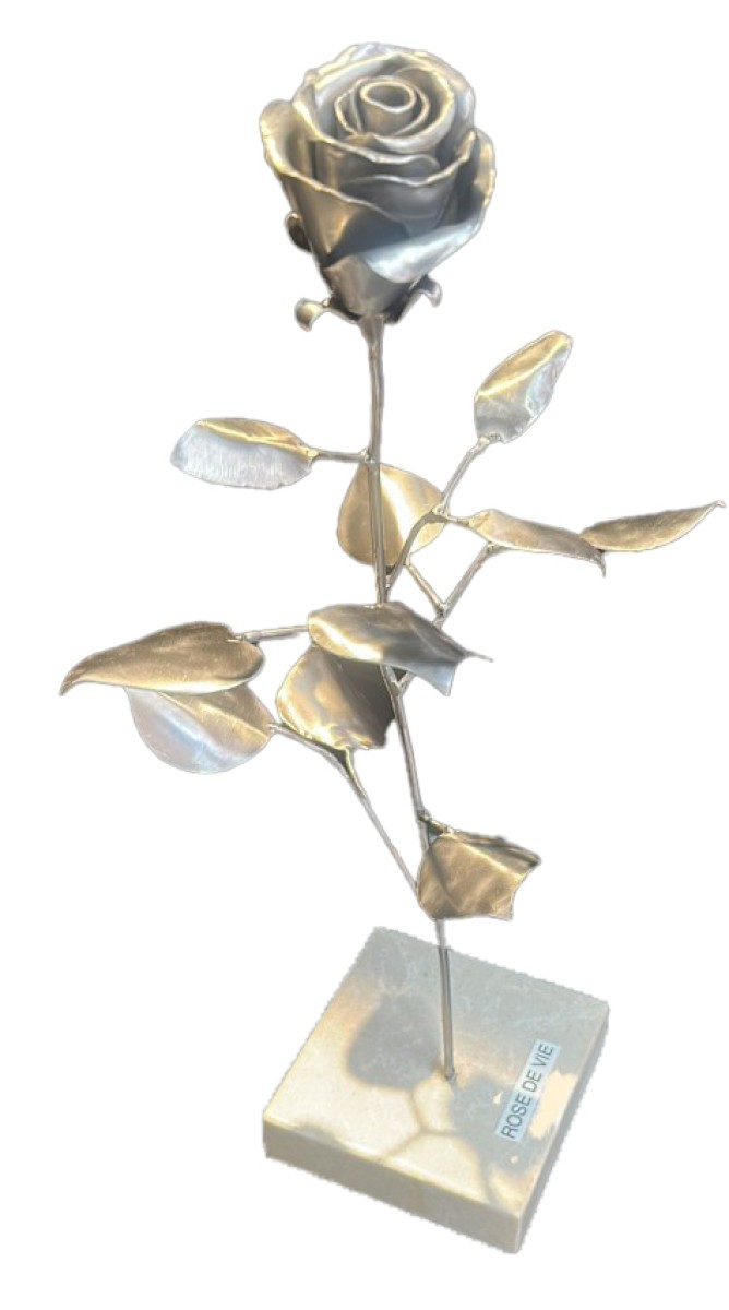 Rose de vie, de Daniel Ackermann The Art Cycle