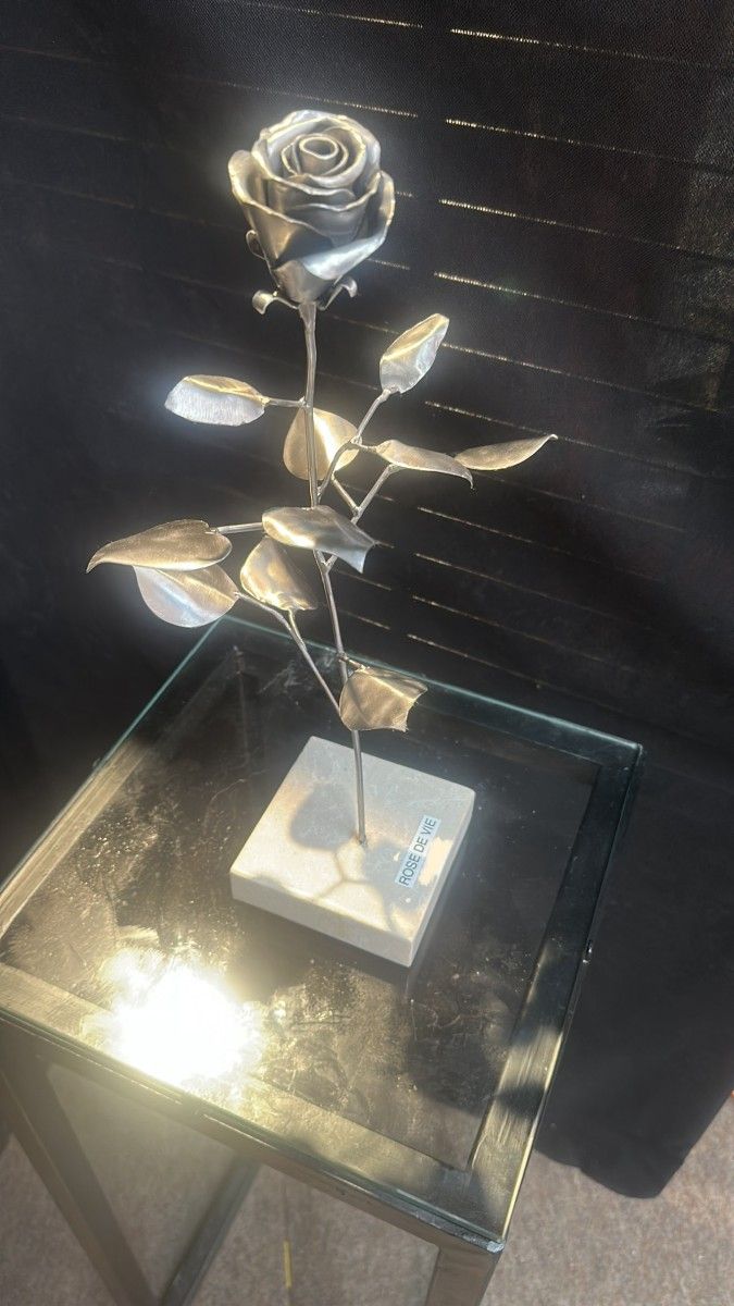 danielackermann rosedevie theartcycle photo_secondaire 790067293.jpeg The Art Cycle