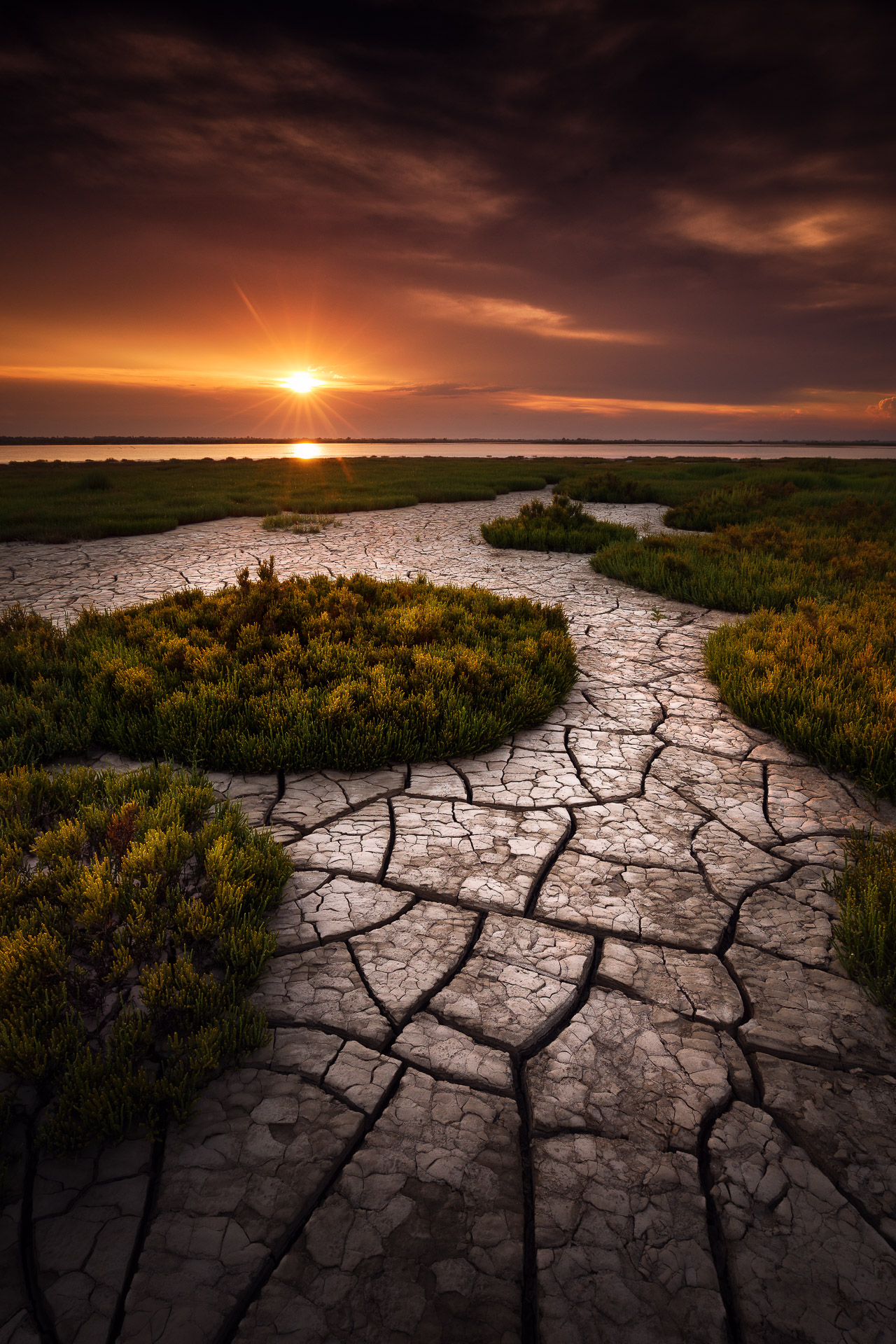 davidbouscarle globalwarming photographie paysage theartcycle photo_principale.jpg The Art Cycle