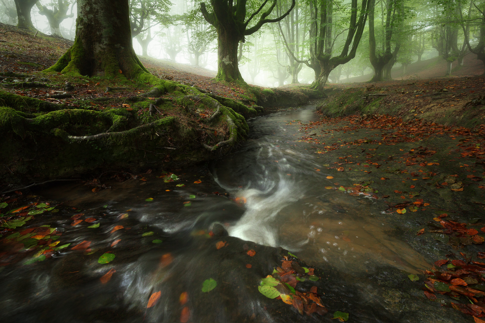 davidbouscarle patience photographie paysage theartcycle photo_principale.jpg The Art Cycle