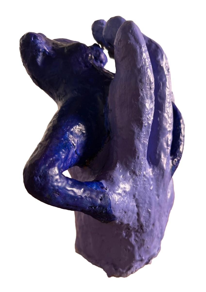 Prise au piège, de Didier Colomès The Art Cycle