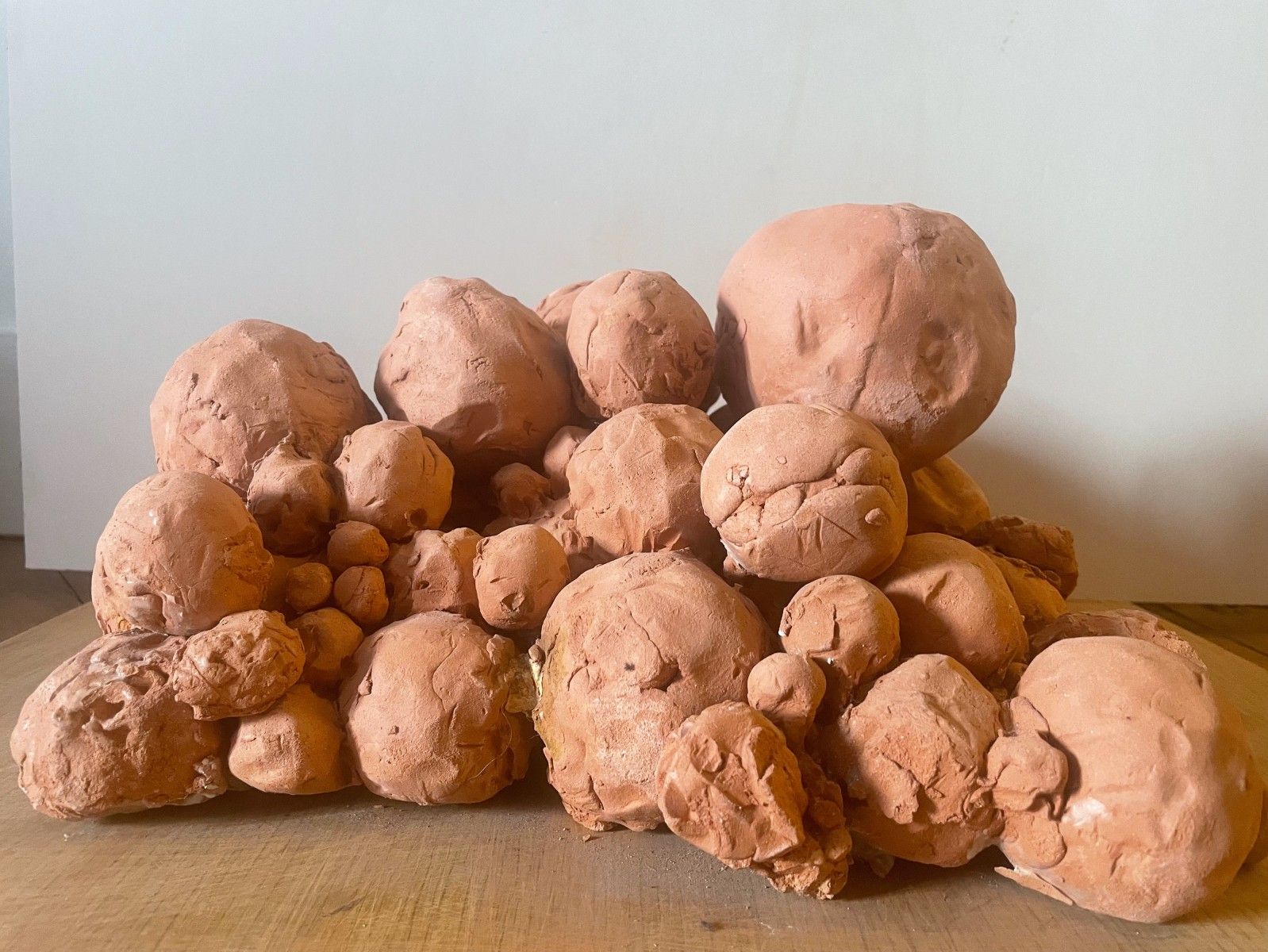 dominiqueganiage eboulis theartcycle photo_secondaire 1531793456.jpeg The Art Cycle