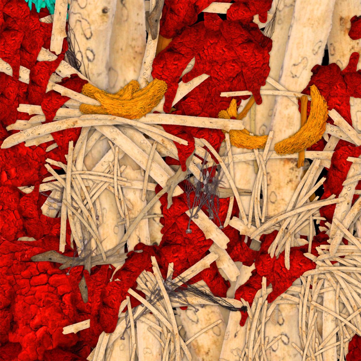 durieuerin bettyboopoutofwoods1 theartcycle photo_secondaire 932187738.jpeg The Art Cycle