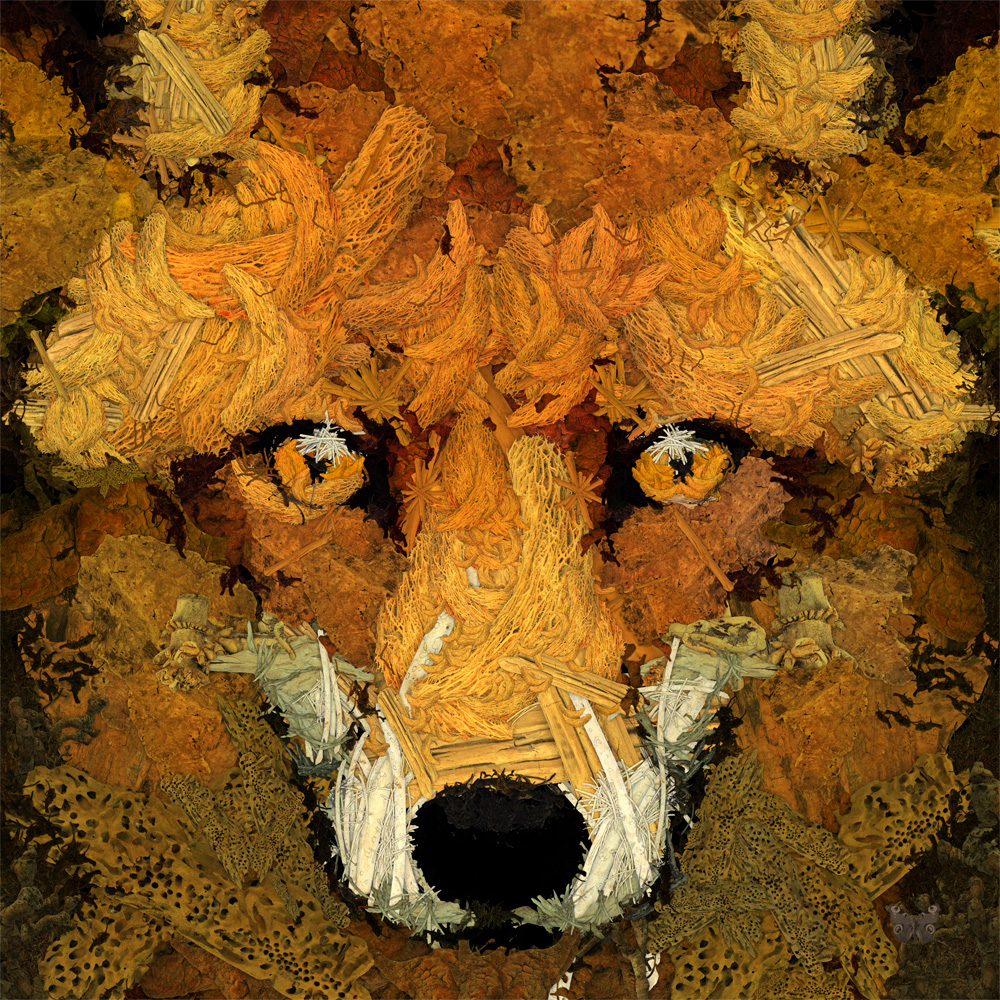durieuerin foxoutofwoods artnumerique animaux theartcycle photo_principale.jpg The Art Cycle