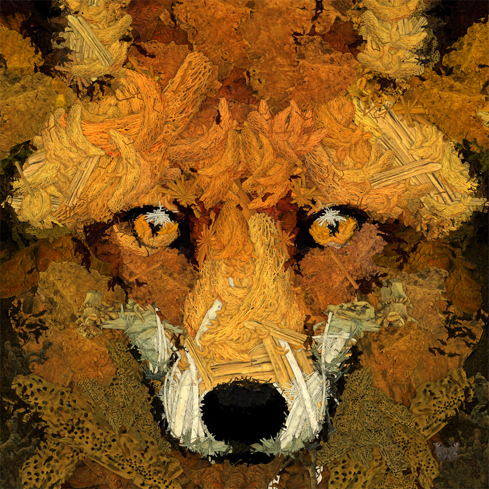 durieuerin foxoutofwoodsm artnumerique animaux theartcycle photo_principale.jpg The Art Cycle