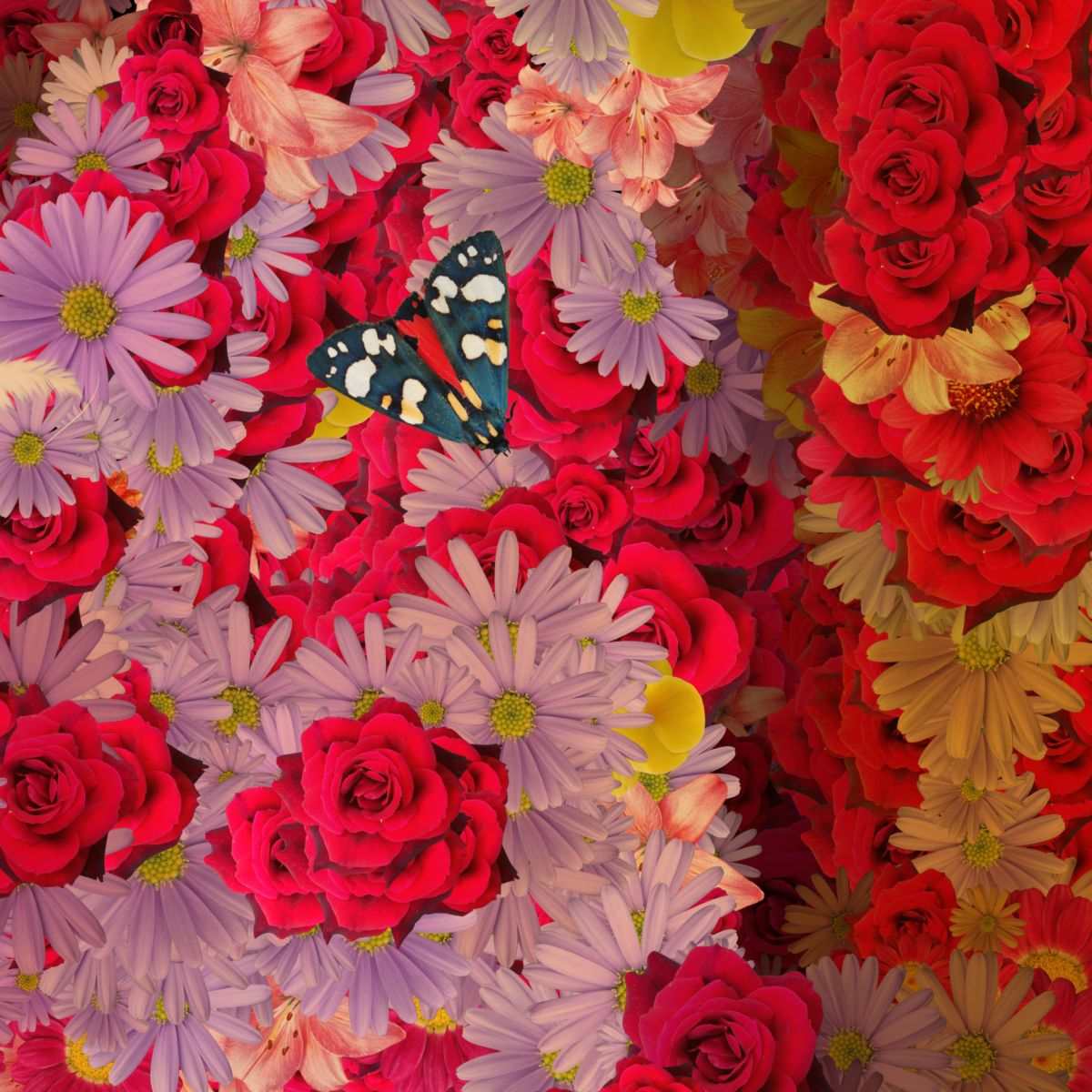 durieuerin lafemmetatouee theartcycle photo_secondaire 2002108784.jpeg The Art Cycle