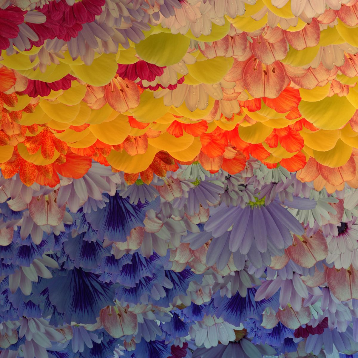 durieuerin latraversee theartcycle photo_secondaire 1314686753.jpeg The Art Cycle