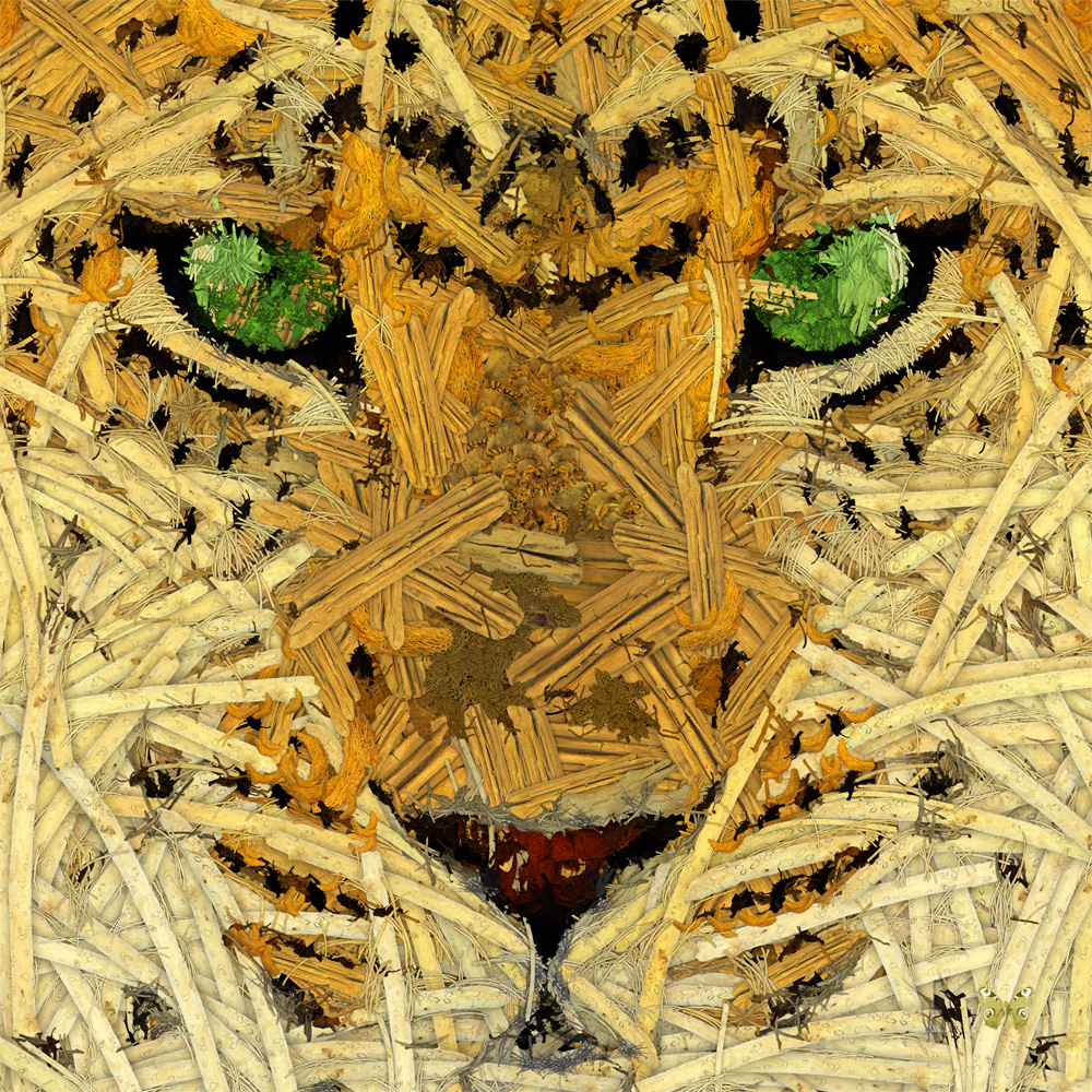 durieuerin leopardoutofwoods1 artnumerique animaux theartcycle photo_principale.jpg The Art Cycle