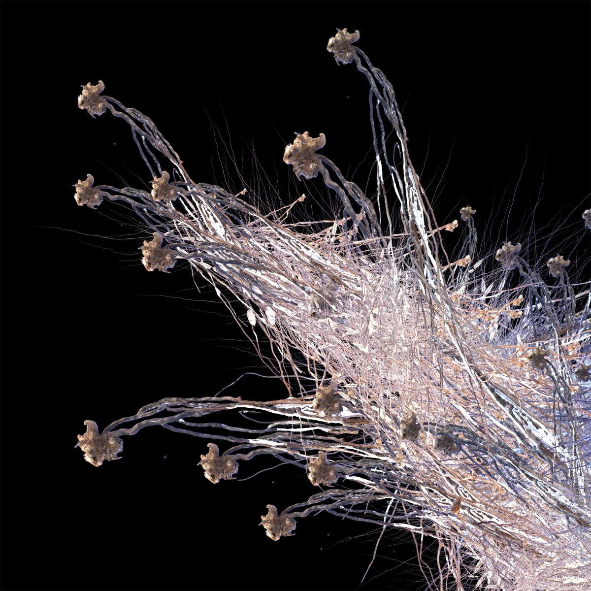 durieuerin lunaantiqua theartcycle photo_secondaire 2077681656.jpeg The Art Cycle