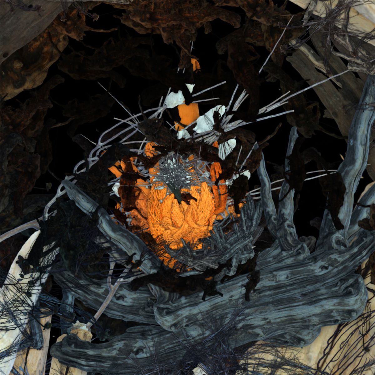 durieuerin orangoutangoutofwoods1 theartcycle photo_secondaire 881396353.jpeg The Art Cycle