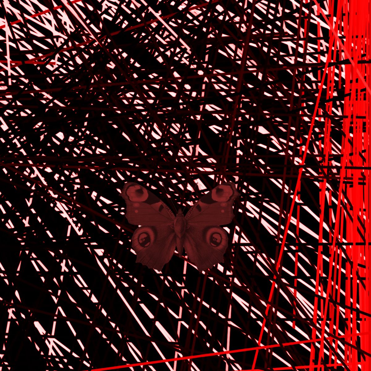 durieuerin pandaoutoflines2 theartcycle photo_secondaire 92960392.jpeg The Art Cycle