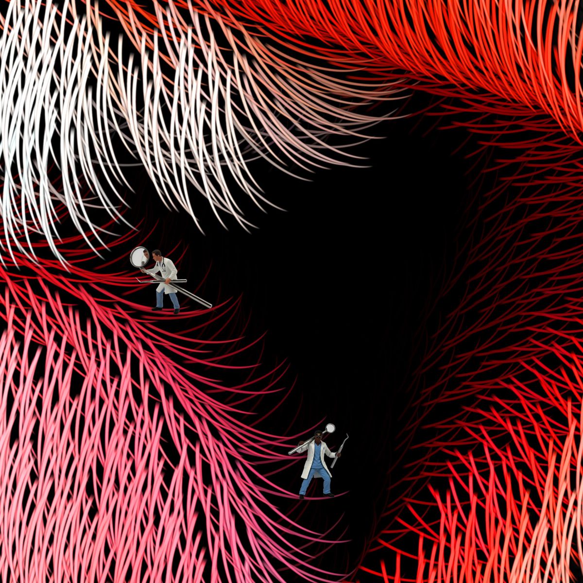 durieuerin poilsauxdents theartcycle photo_secondaire 654580230.jpeg The Art Cycle