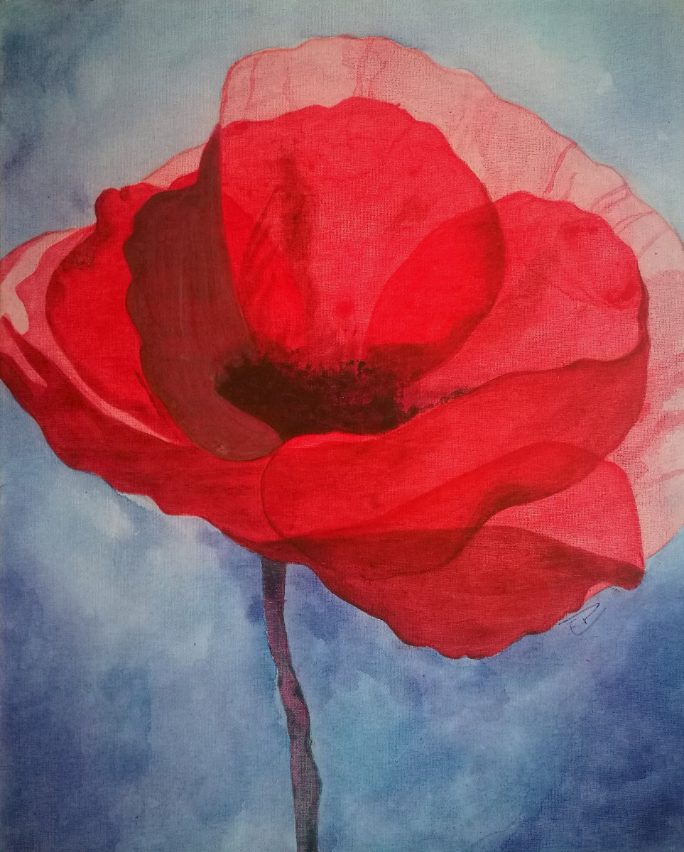 eglantine coquelicot theartcycle photo_principale 814504963.jpeg The Art Cycle