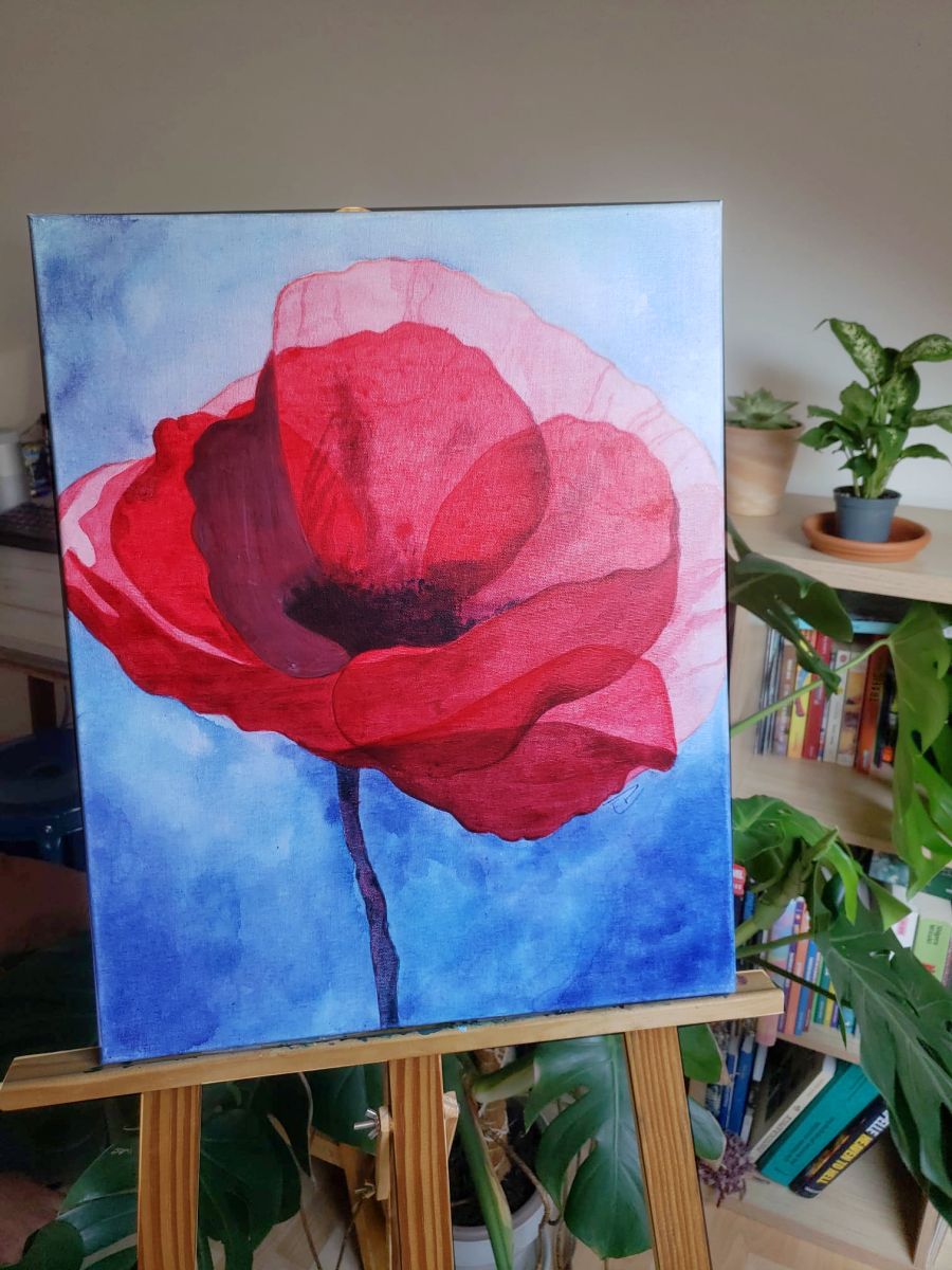 eglantine coquelicot theartcycle photo_situation 404844967.jpeg The Art Cycle