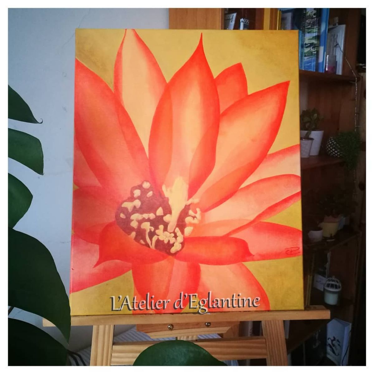 eglantine fleurdecactusorange theartcycle photo_situation 862553984.jpeg The Art Cycle