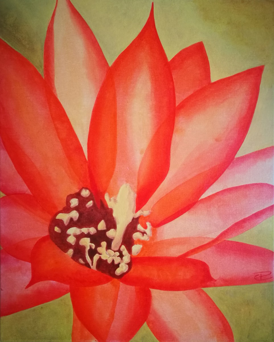 eglantine_petit fleurdecactus1 theartcycle photo_principale 371612544.jpeg The Art Cycle