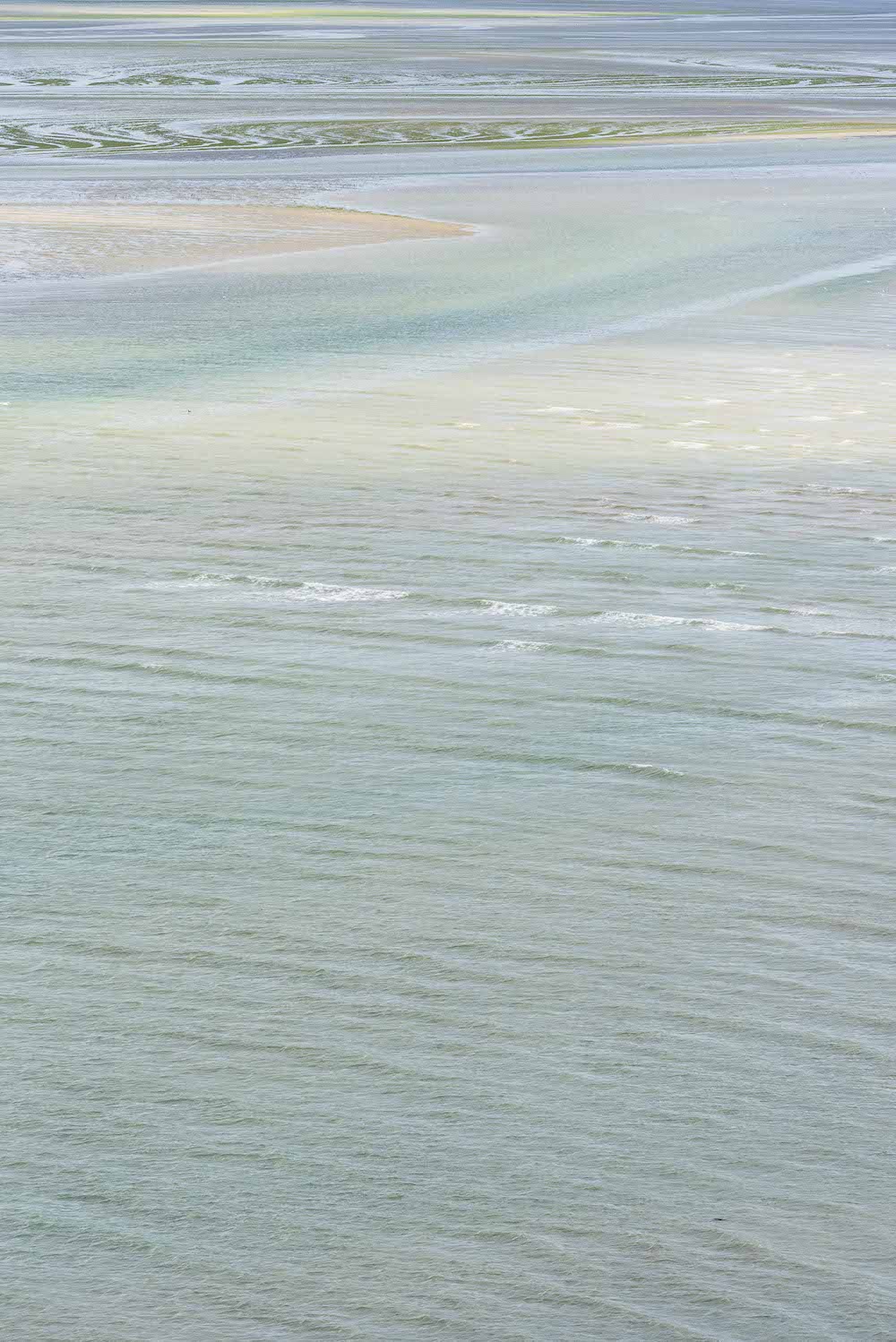 elisabethlaplante mareeverte photographie paysage theartcycle photo_detail_1.jpg The Art Cycle