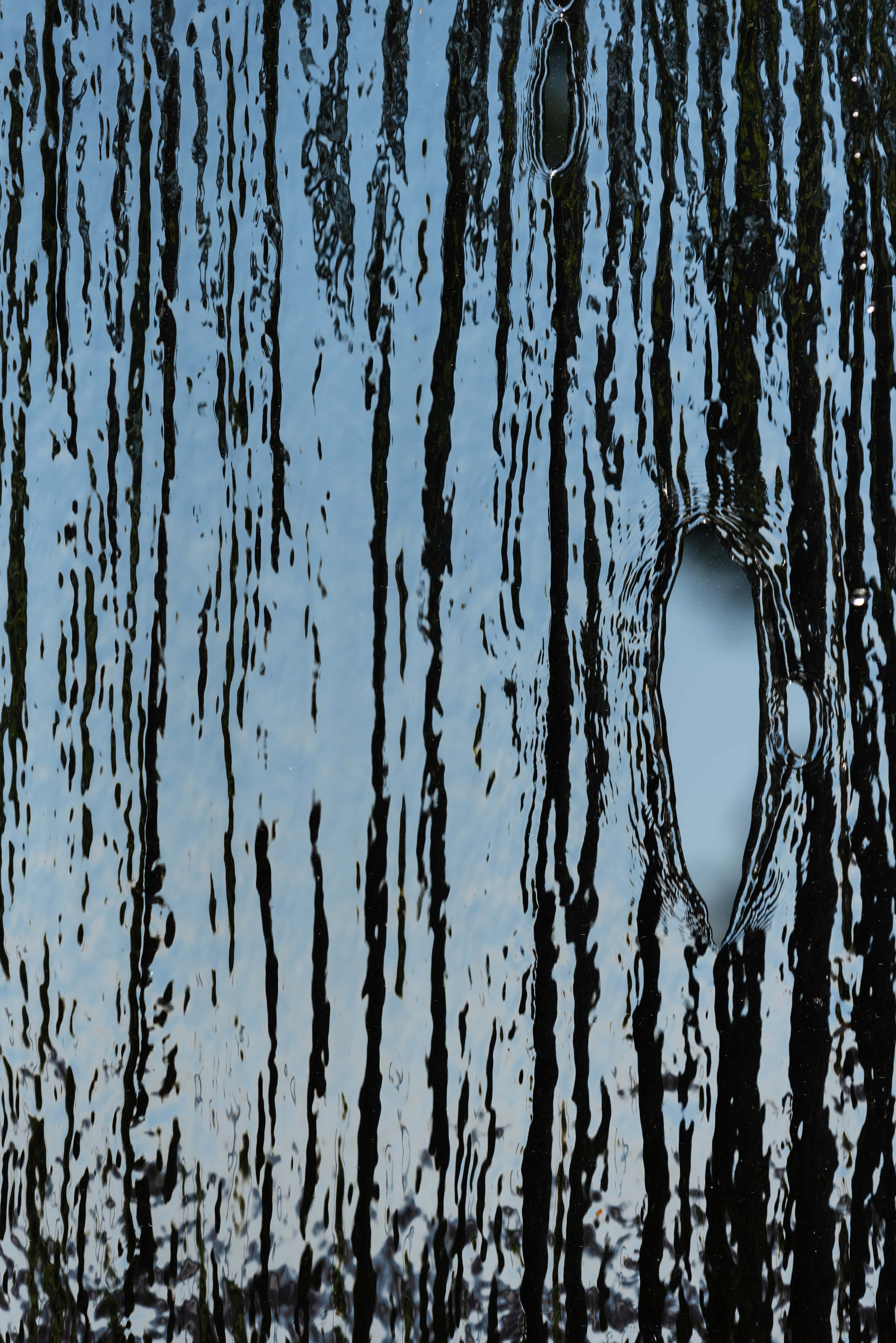 elisabethlaplante naissance photographie abstrait theartcycle photo_principale.jpg The Art Cycle