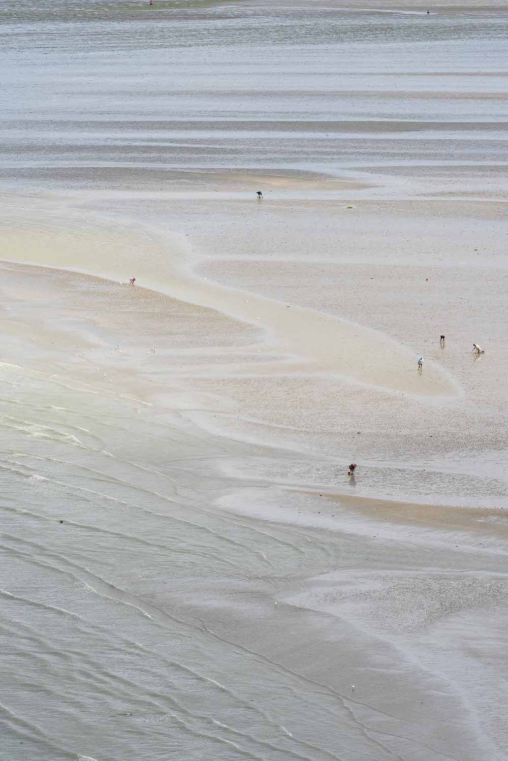 elisabethlaplante simplespecheurs photographie paysage theartcycle photo_detail_1.jpg The Art Cycle