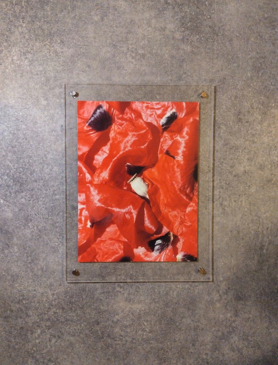 elisaguillon lecoquelicot theartcycle photo_secondaire 1612123641.jpeg The Art Cycle