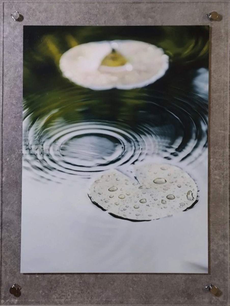 elisaguillon lenenuphar theartcycle photo_principale 1569780040.jpeg The Art Cycle