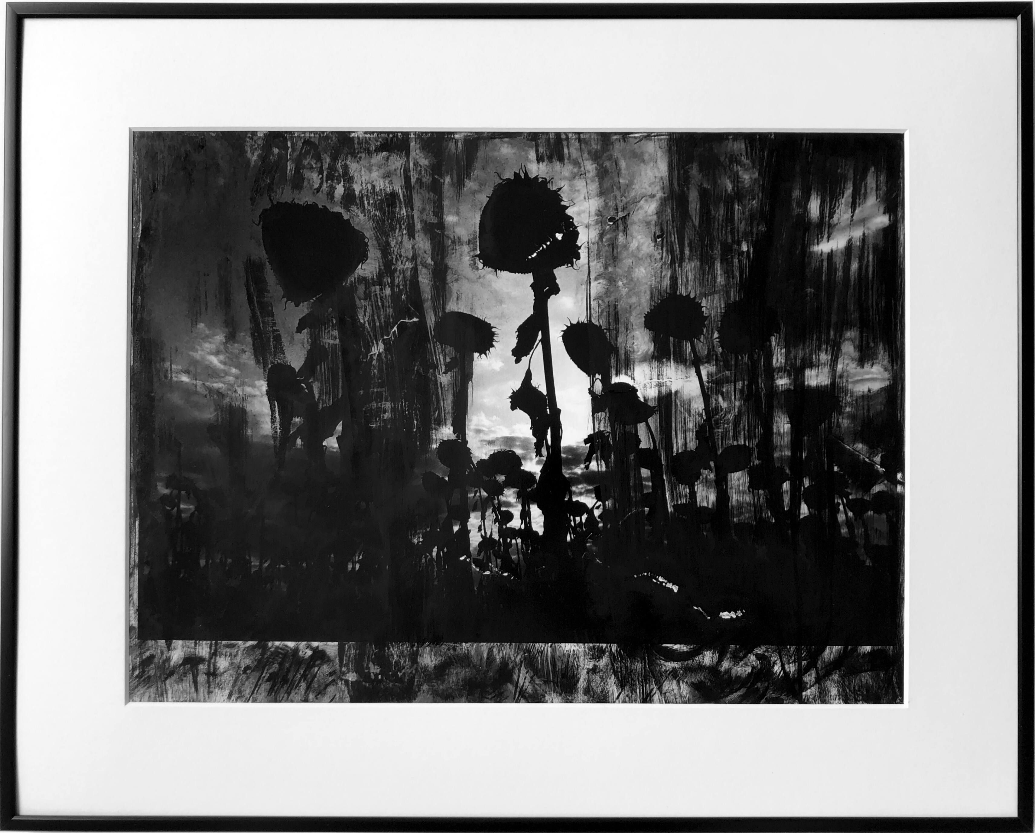 ericbonnenfant pluienoire photographie abstrait theartcycle photo_principale.jpg The Art Cycle