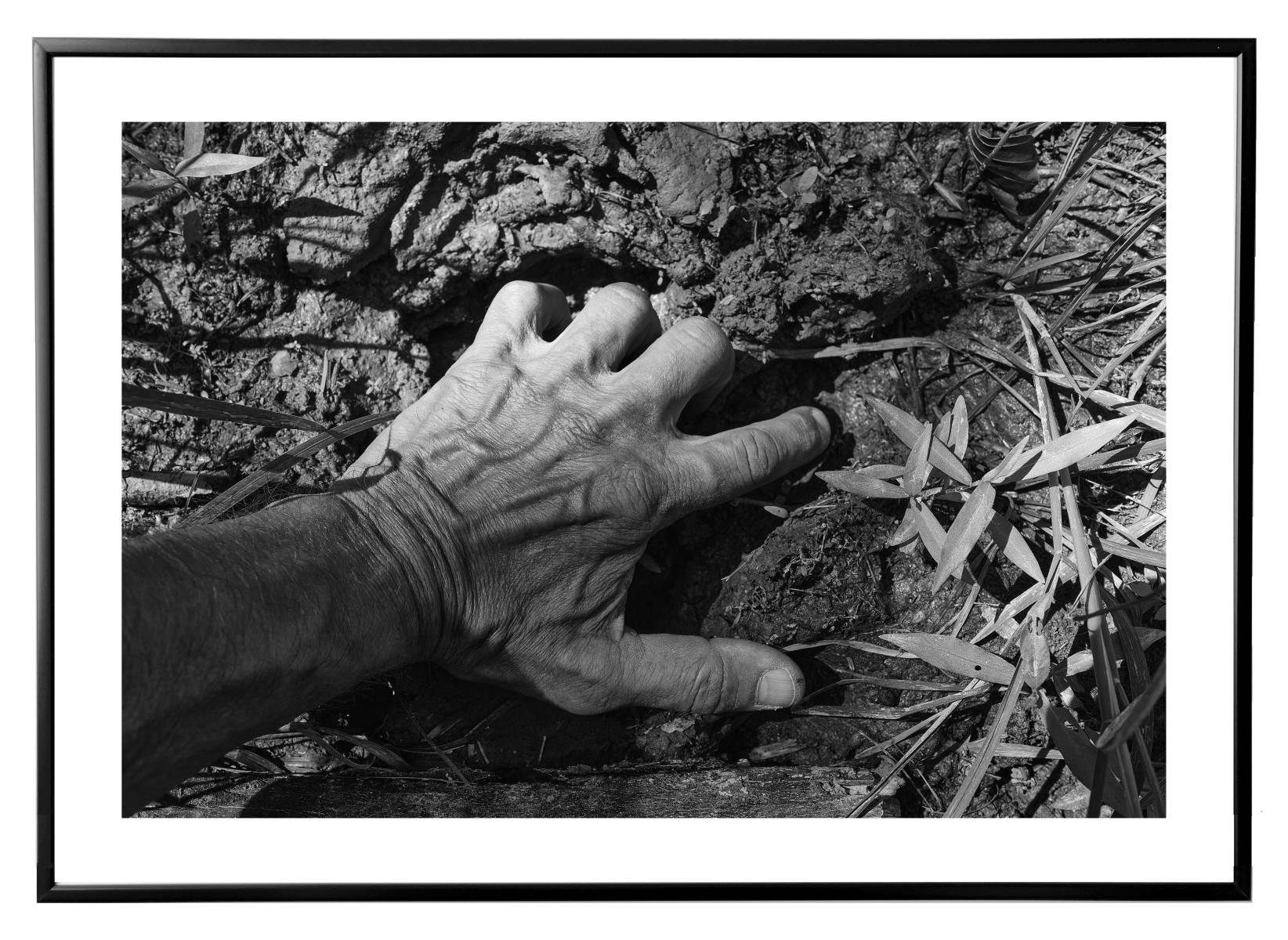 Terre, de Eric Bonnenfant The Art Cycle