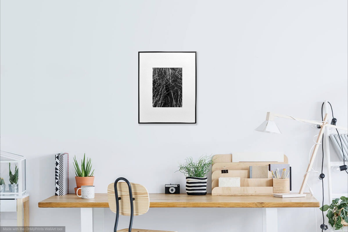 ericbonnenfant vegetal15arabesques photographie abstrait theartcycle photo_situation.jpg The Art Cycle