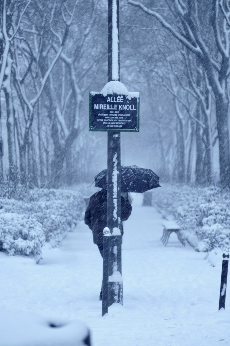 Allée Mireille Knoll, de Eve Pinel The Art Cycle