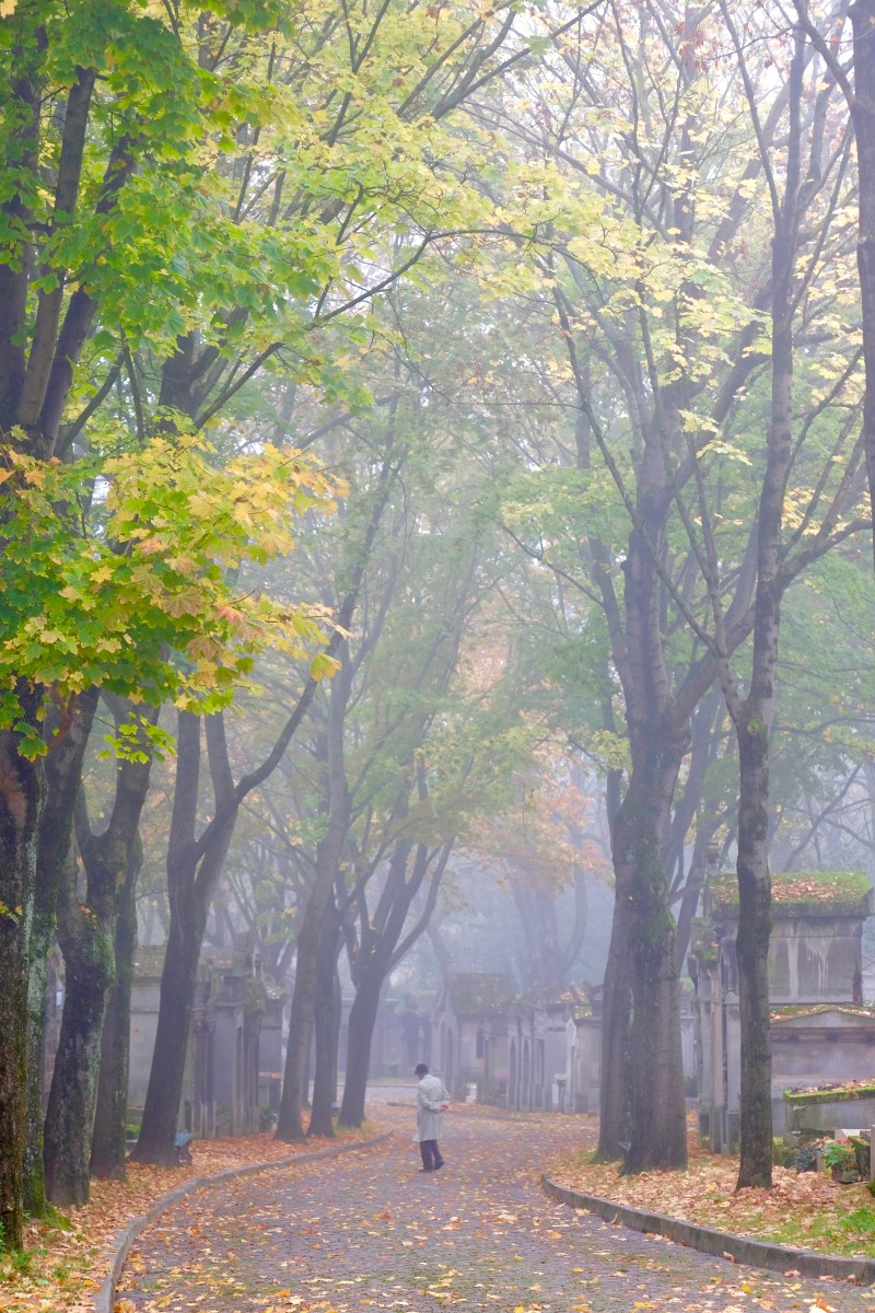 Brume d'automne, de Eve Pinel The Art Cycle
