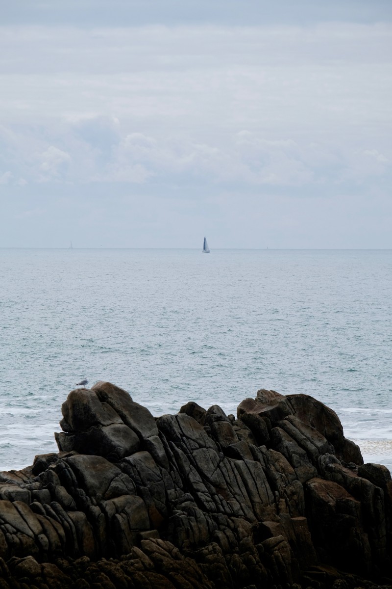 Calme blanc, de Eve Pinel The Art Cycle